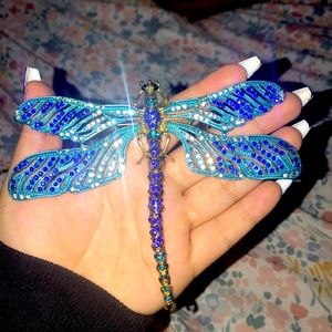 A beautiful dragonfly pin